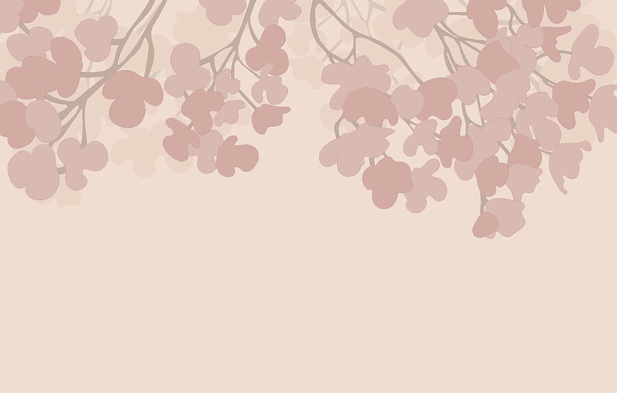 Rosa Blumen auf weißem Hintergrund