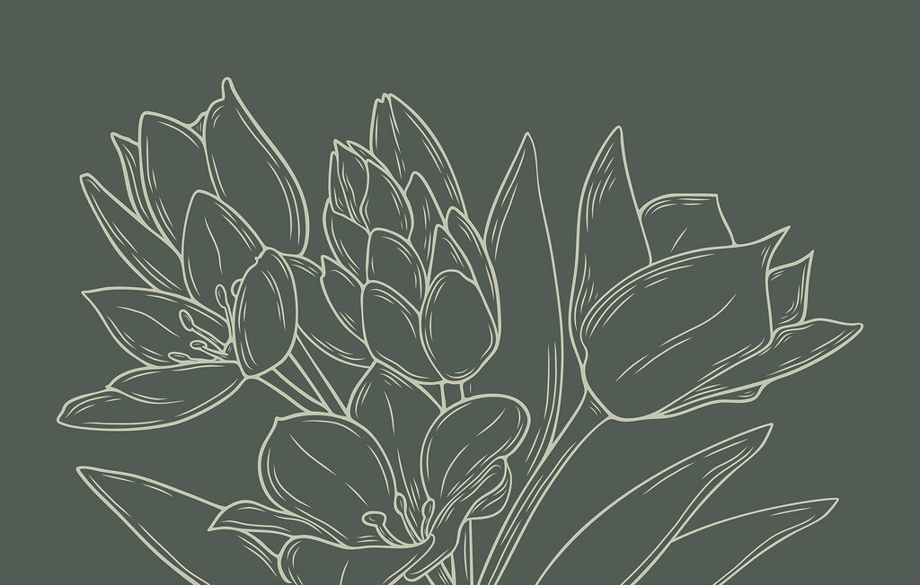 Zeichnung von Blumen auf einer Pflanze Zeichnung von Blumen auf einer Pflanze