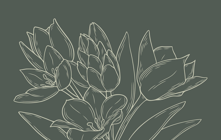Zeichnung von Blumen auf einer Pflanze