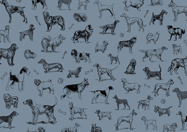 Gruppe von Hunden auf blauem Hintergrund t00173v1p 600x424 - Gruppe von Hunden auf blauem Hintergrund