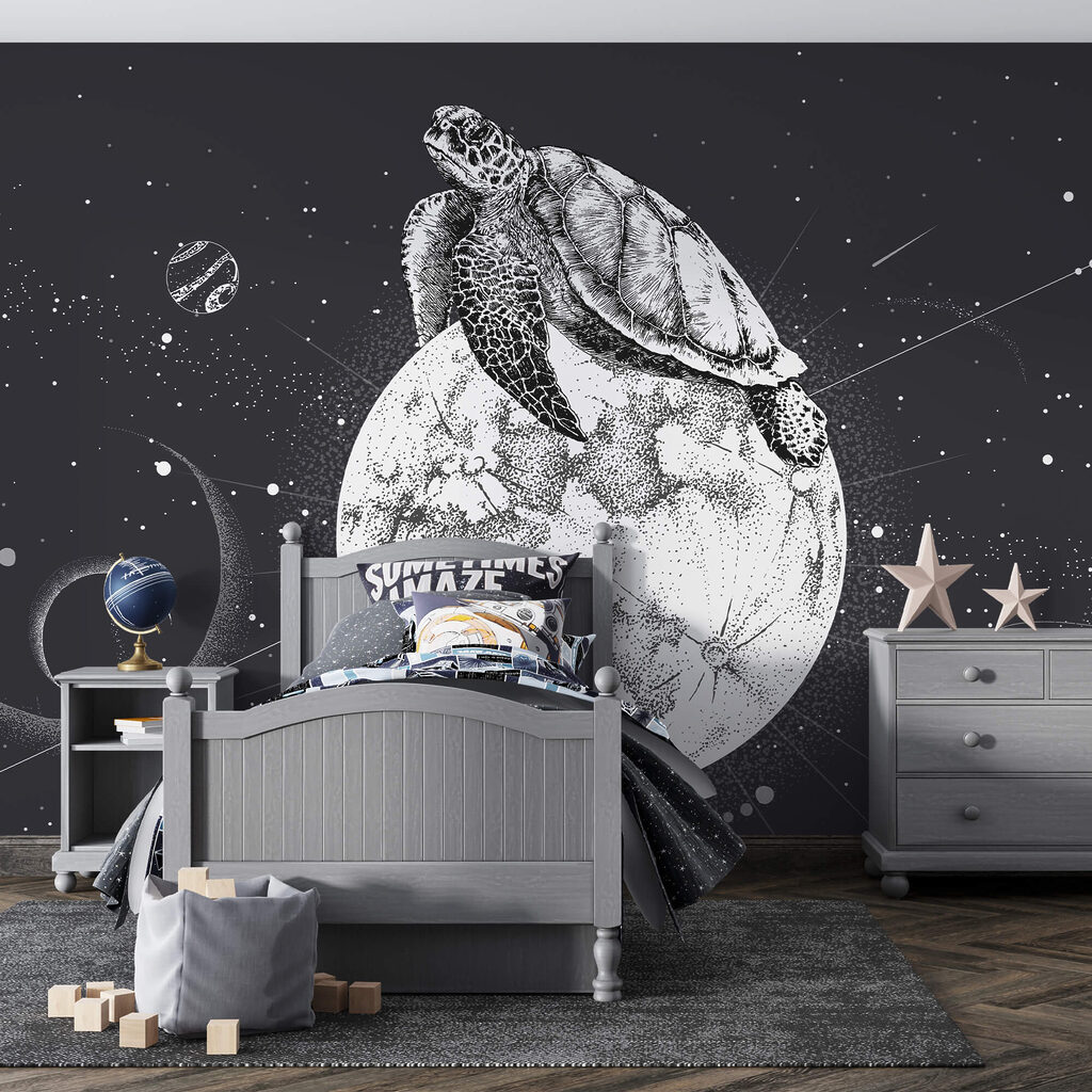 Schildkröte auf dem Mond Schildkröte auf dem Mond