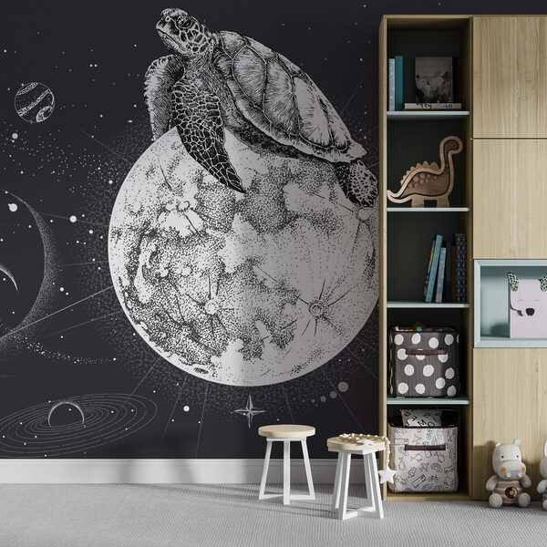 Schildkröte auf dem Mond Schildkröte auf dem Mond