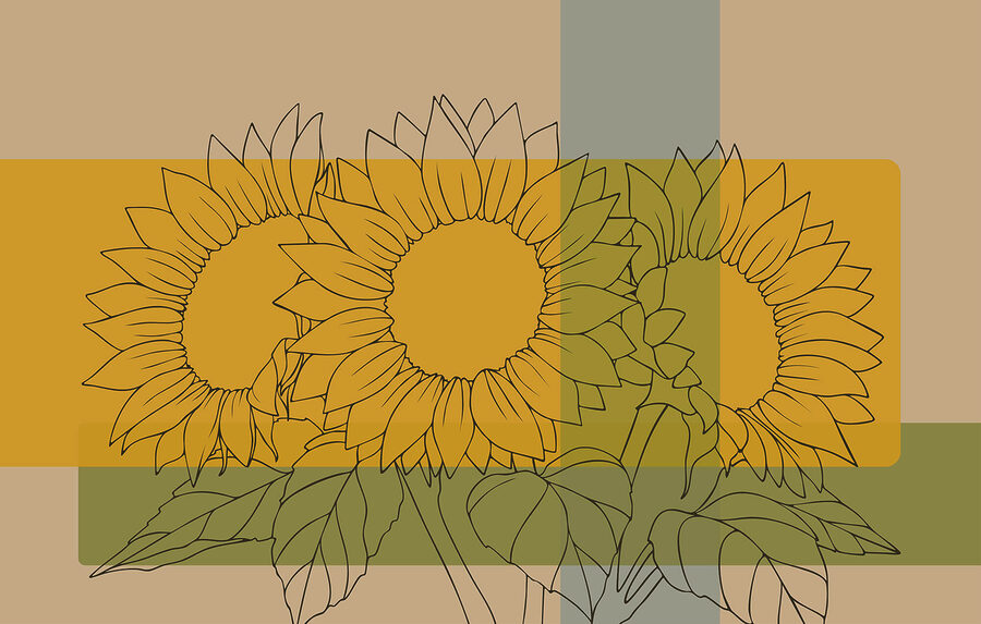 Fototapeten Gruppe von Sonnenblumen mit Blättern