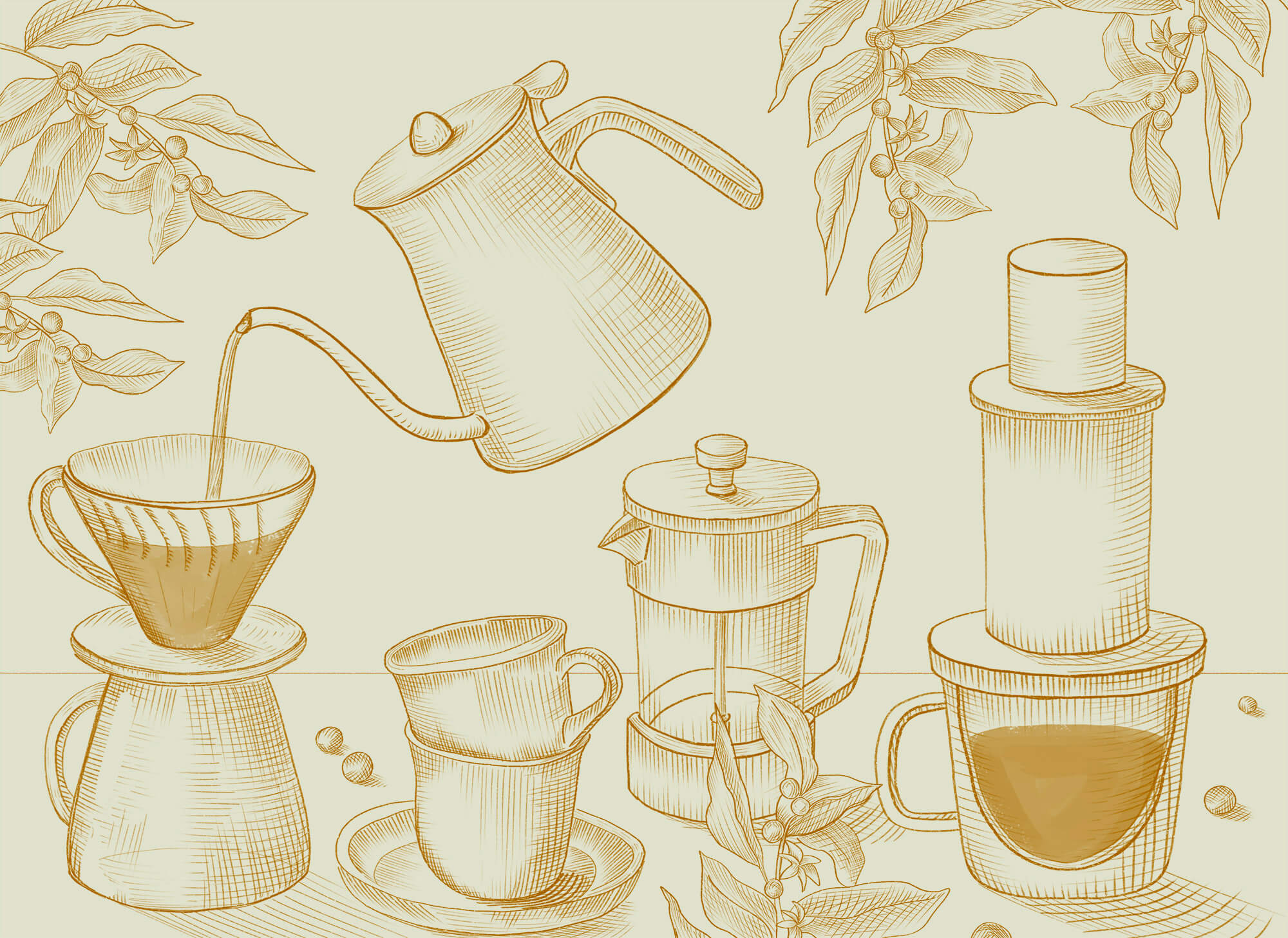 Drawing of coffee brewing