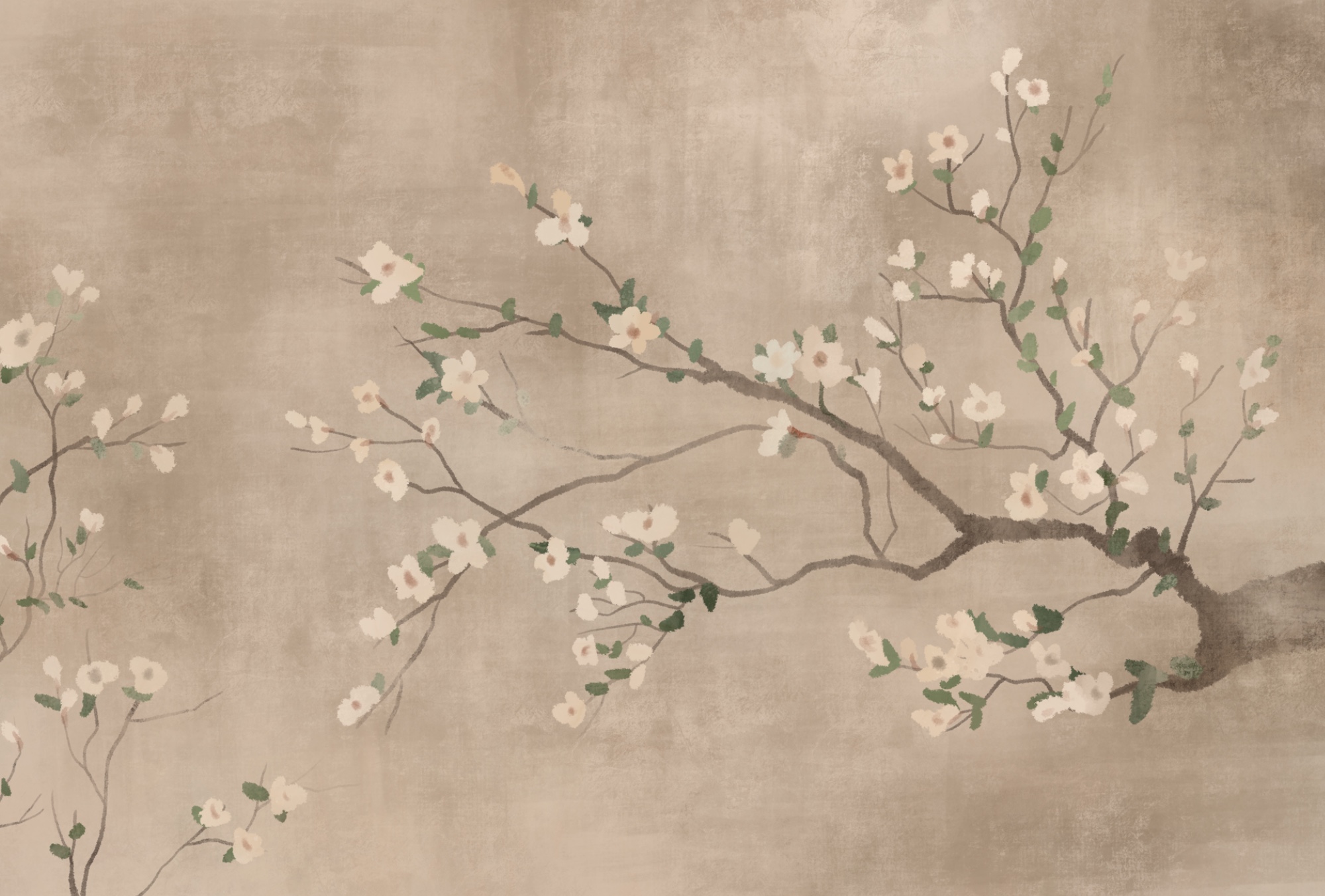 Tree branch with white flowers Tree branch with white flowers