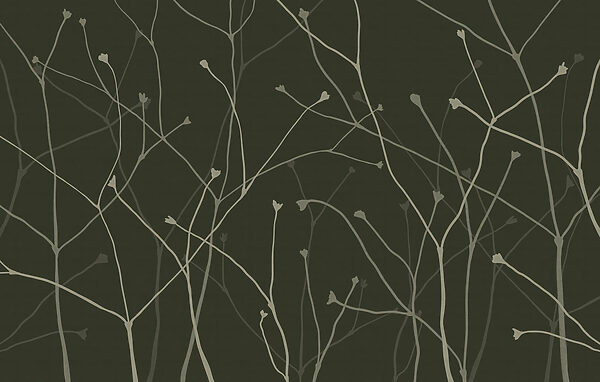 Delicate branches on a dark backdrop