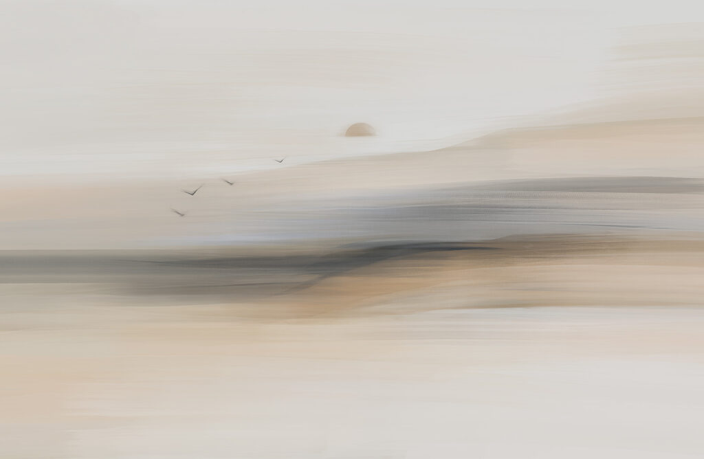 Group of birds flying in the sky