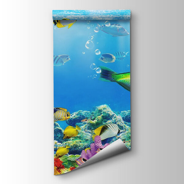 Group of fish swimming in the water