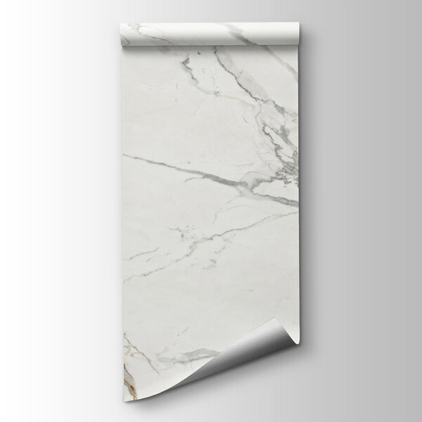 White marble with gray veins