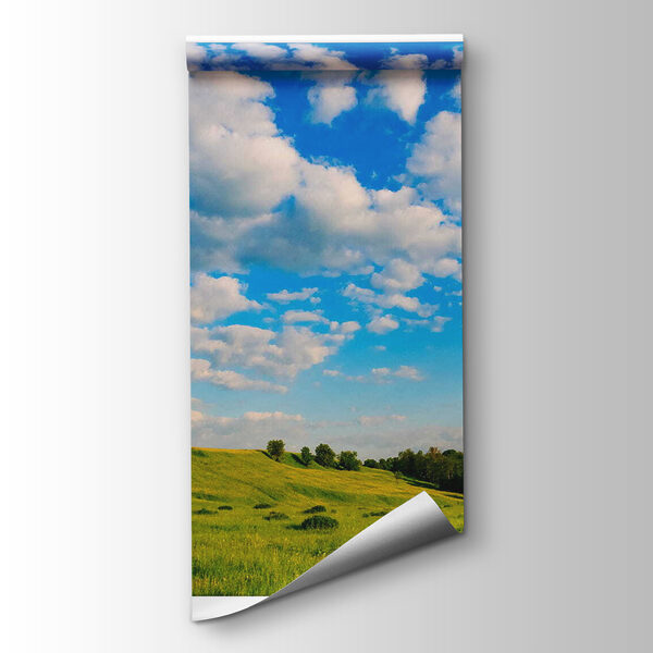 Open window with trees and grass field