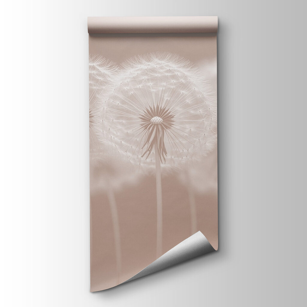 Group of dandelions Group of dandelions