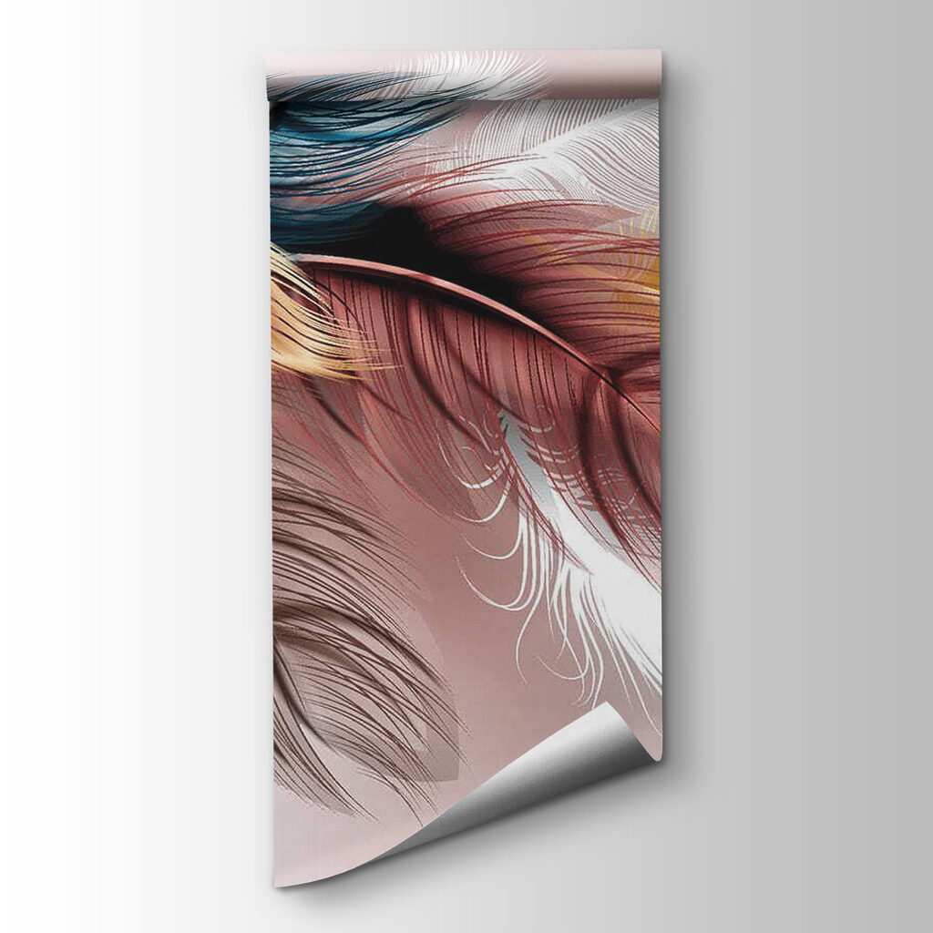 Group of colorful feathers