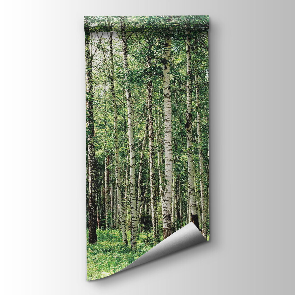 Group of trees in a forest