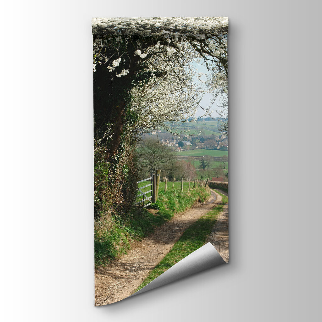 Dirt road with white flowers on it