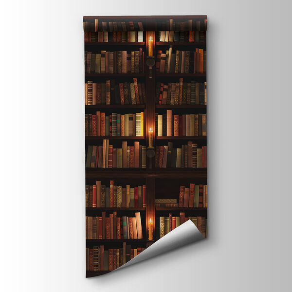 Large bookcase full of books