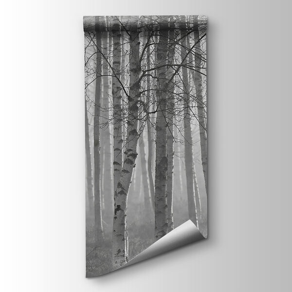 Group of trees in a forest