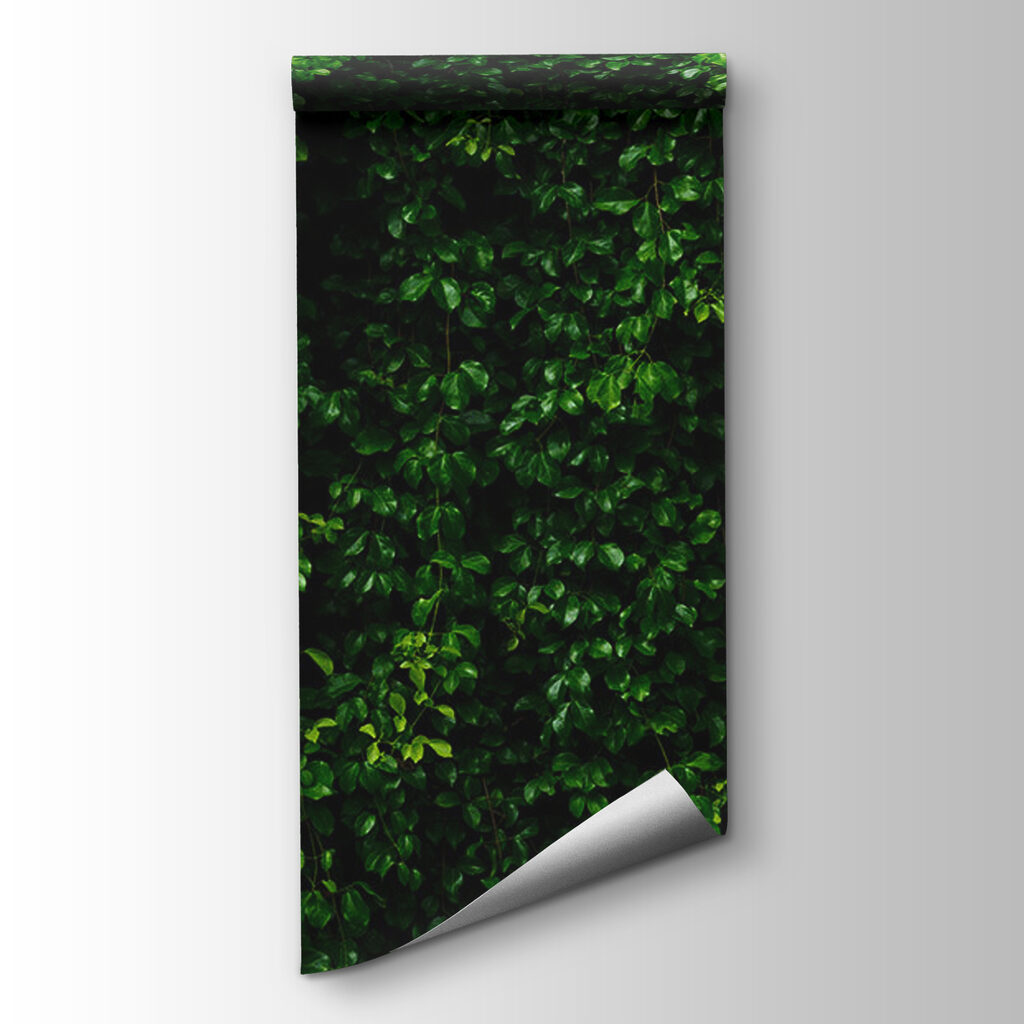 Wall of green leaves