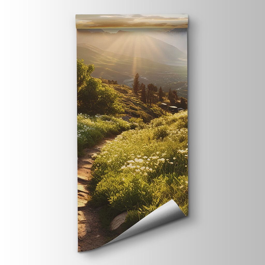 Path through a grassy field with mountains in the background Path through a grassy field with mountains in the background