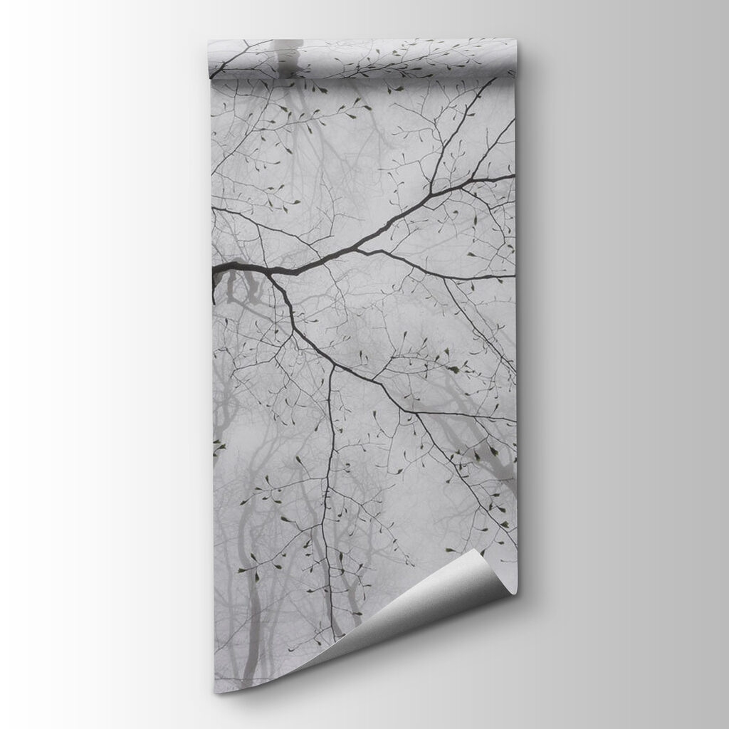 Looking up at trees in the fog