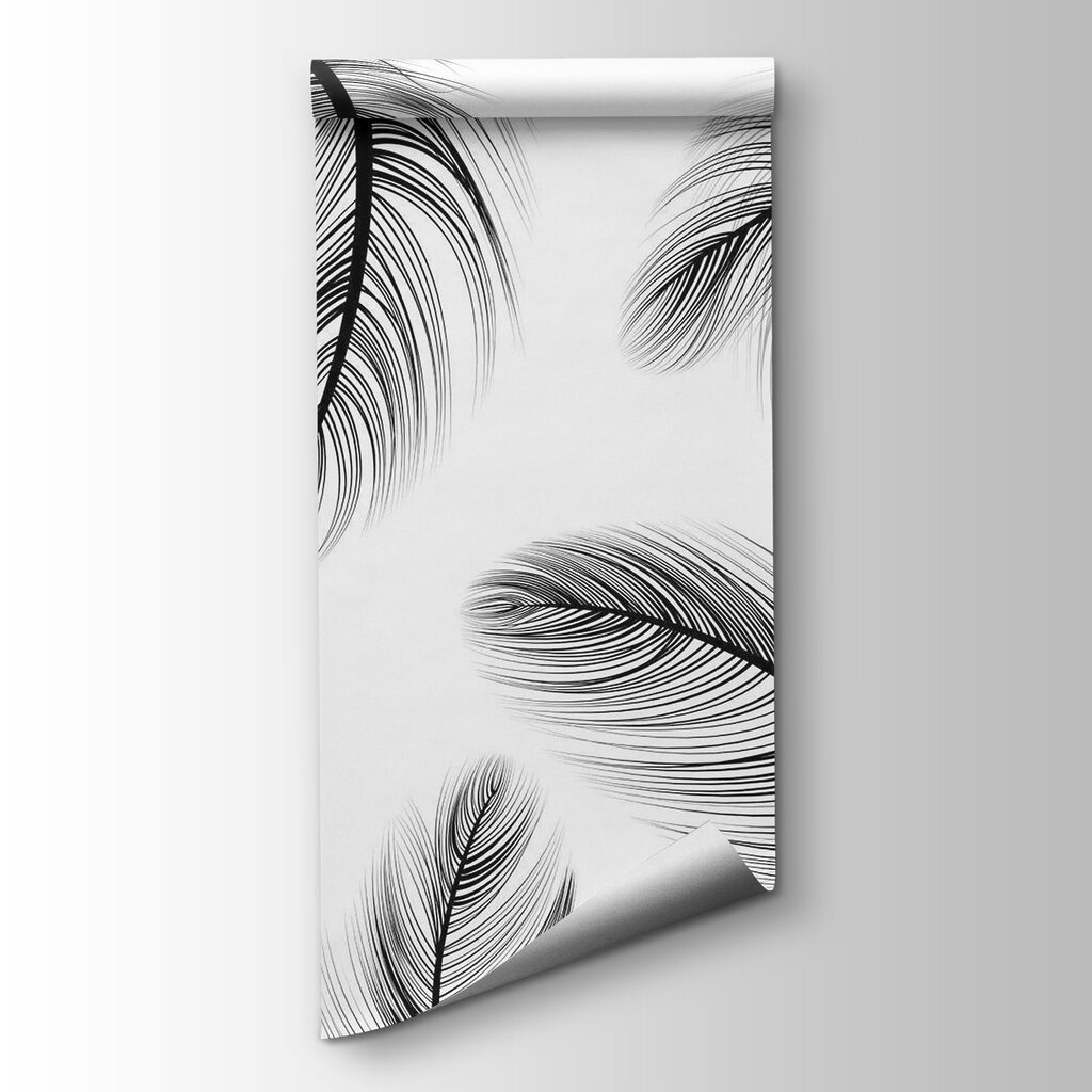 Group of black and white feathers Group of black and white feathers