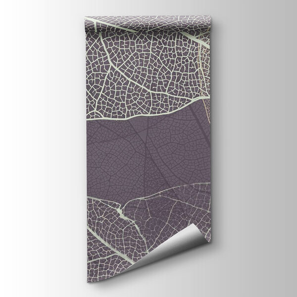 Nature's delicate leaf patterns revealed