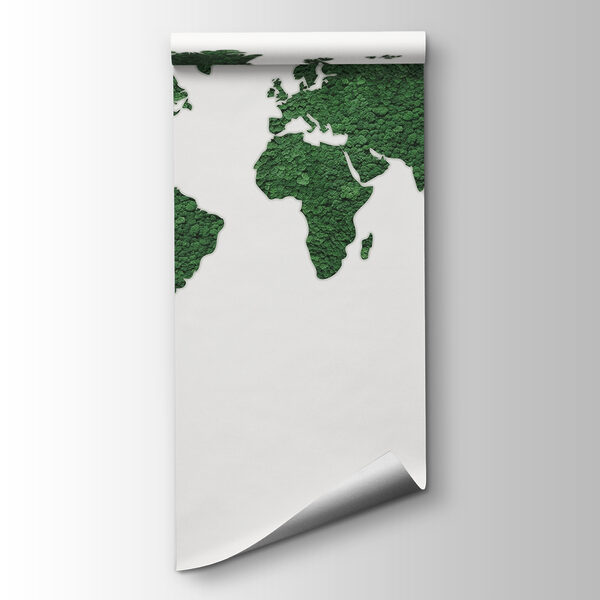 Map of the world Map of the world