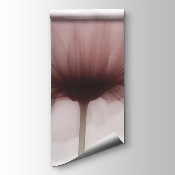 Flower with a transparent flower