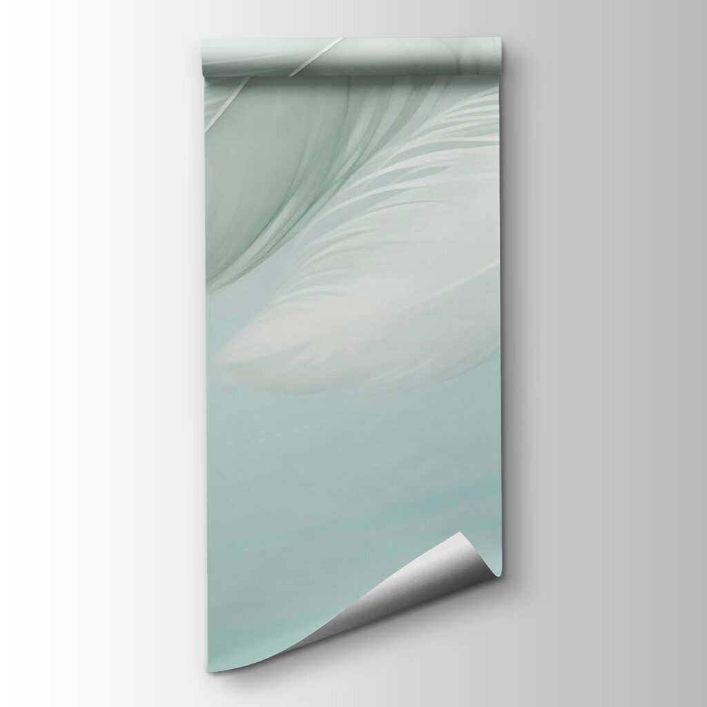 White feathers on a white background