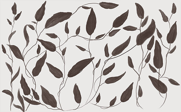Drawing of leaves on a white background