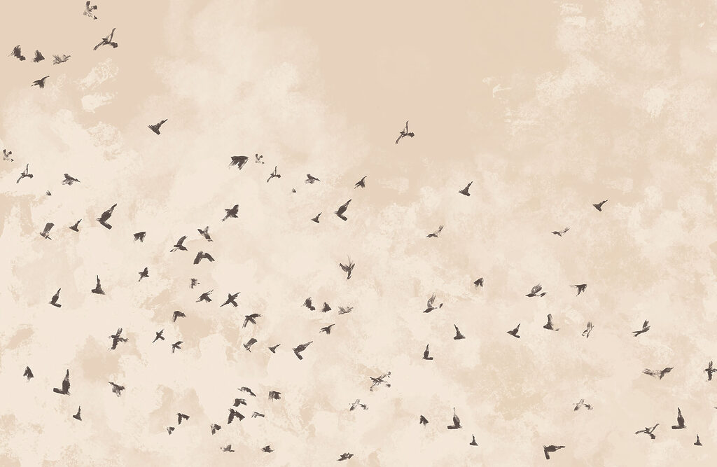 Flock of birds in the sky Flock of birds in the sky