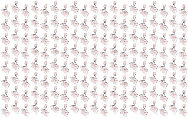 Pattern of flowers on a white background