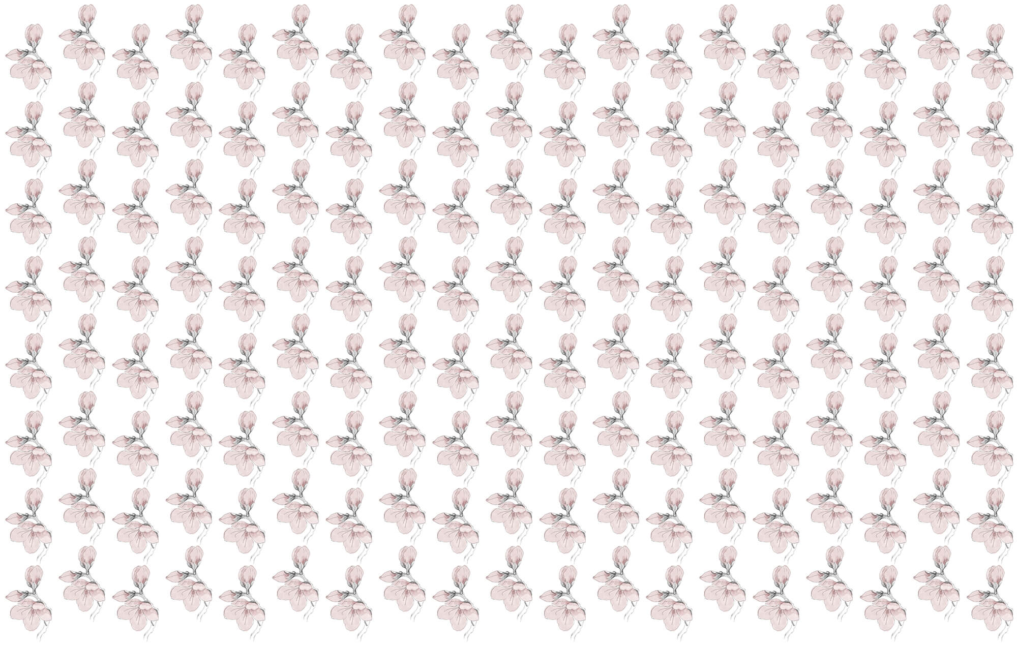 Pattern of flowers on a white background