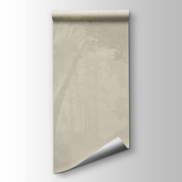 Foggy forest with trees