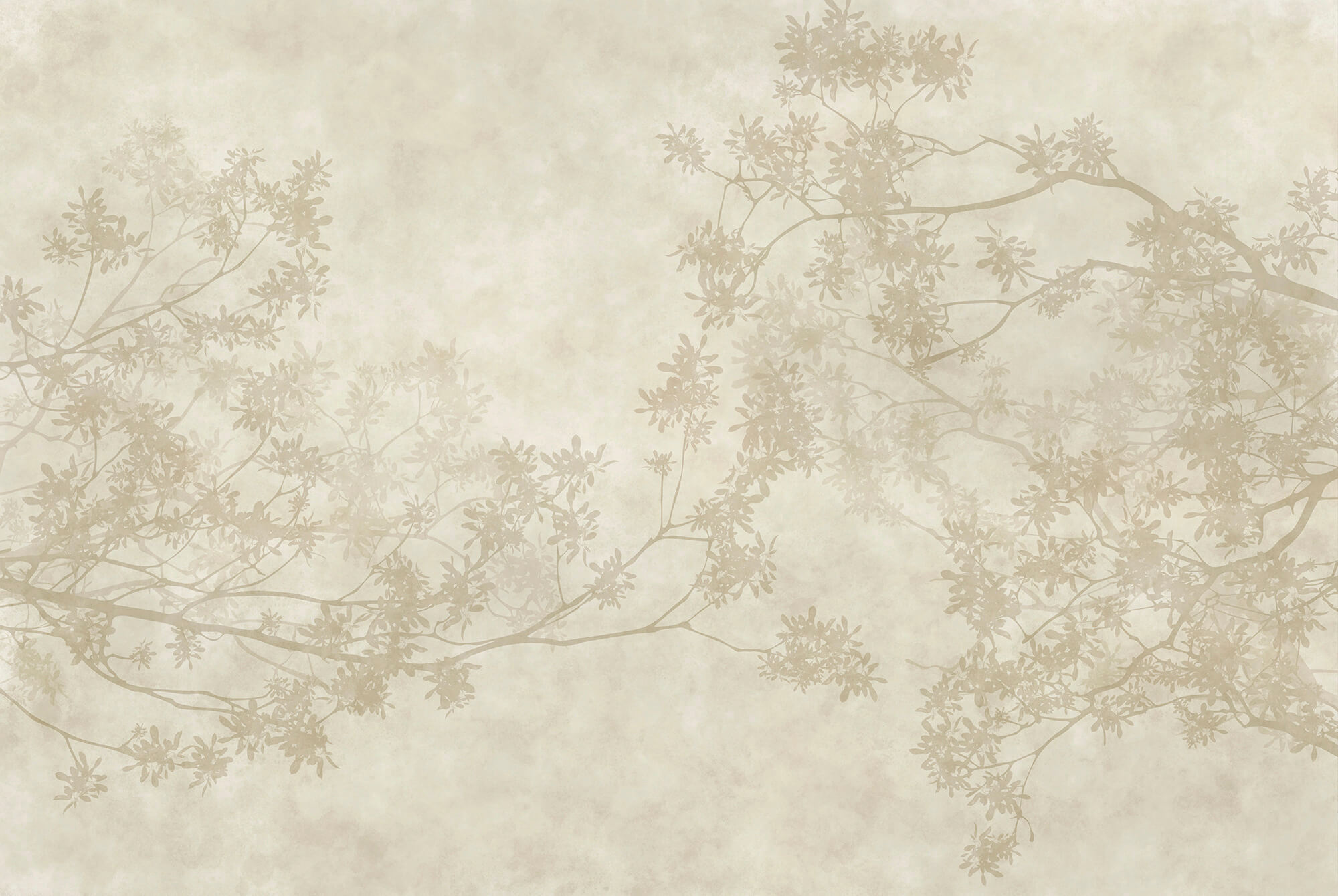 Tree branches with leaves