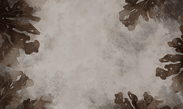 Brown leaves on a white surface Brown leaves on a white surface