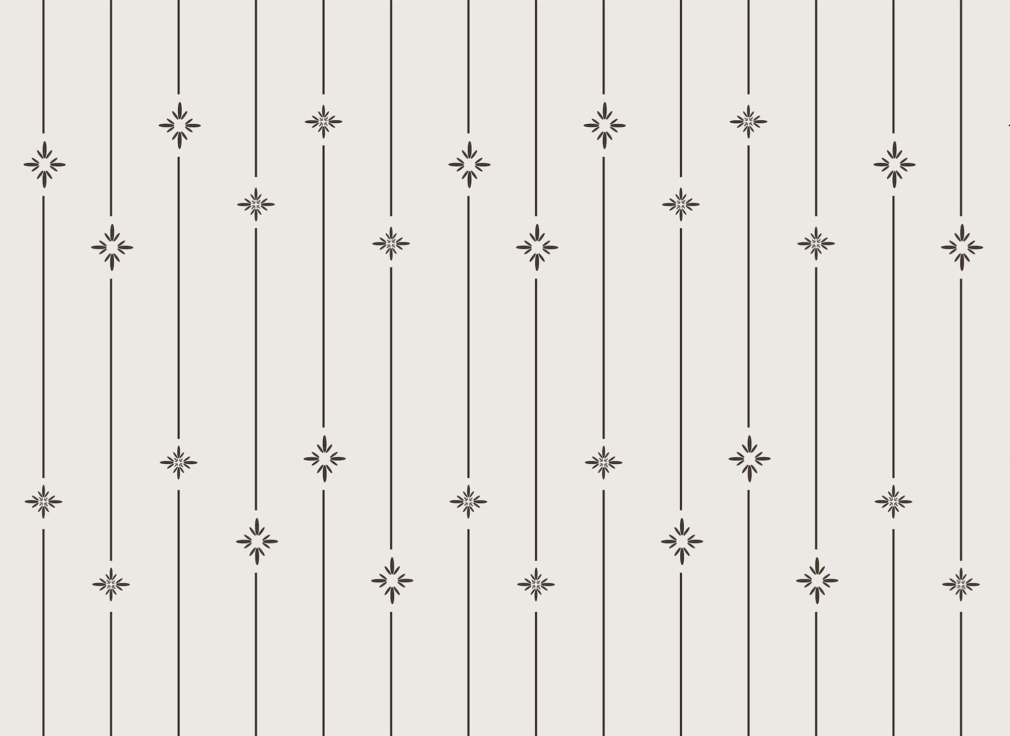 Pattern of stars and lines