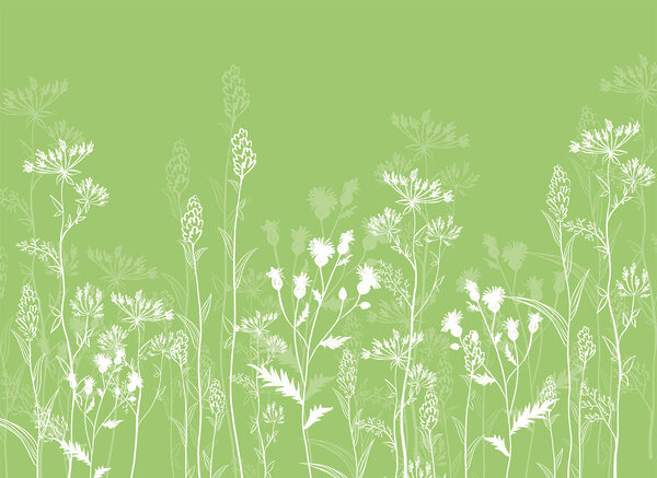 White flowers on a green background White flowers on a green background