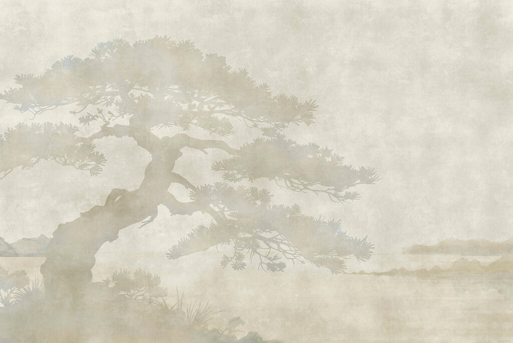 Tree with a shadow Tree with a shadow