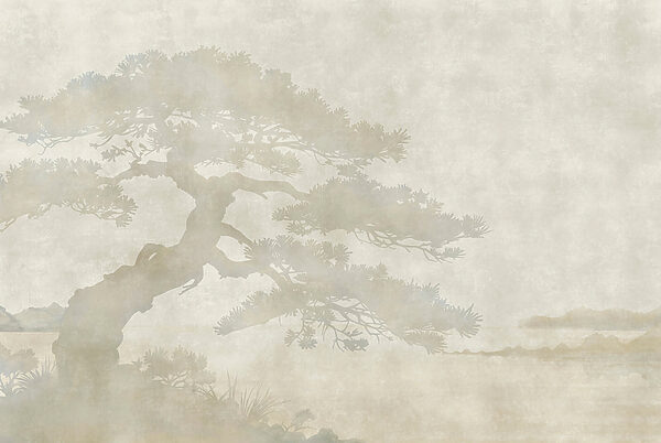 Tree with a shadow Tree with a shadow