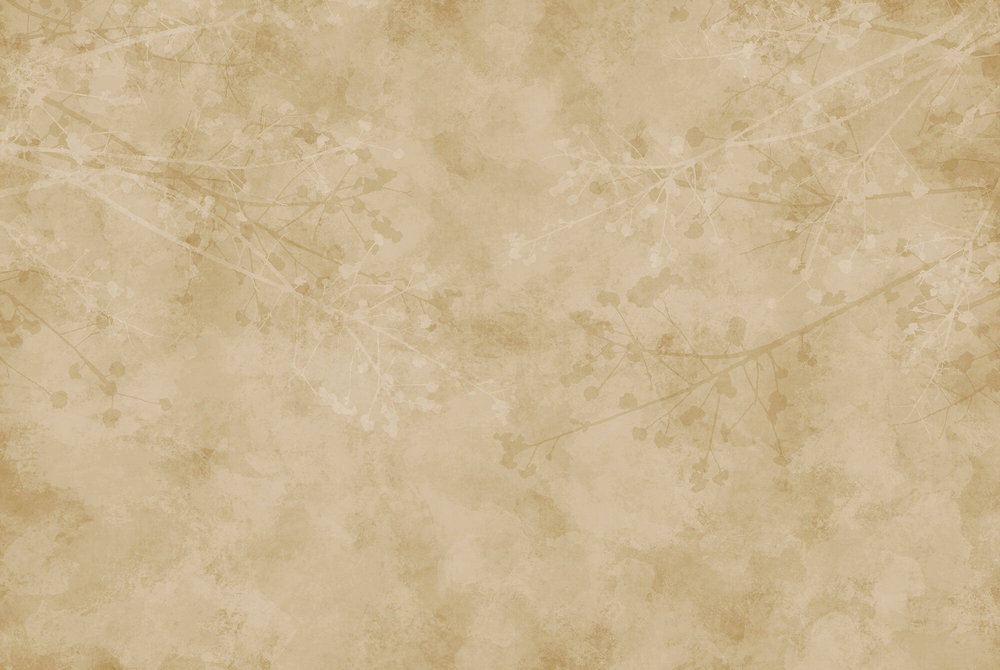 Beige background with branches and leaves Beige background with branches and leaves