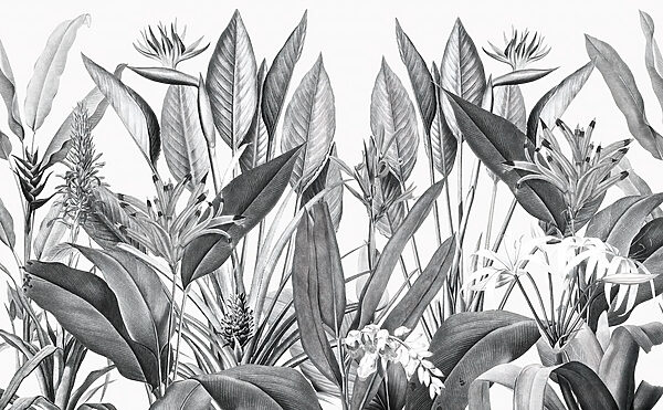 Tropical foliage in monochrome shades Tropical foliage in monochrome shades