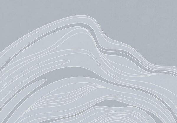 White lines on a gray background
