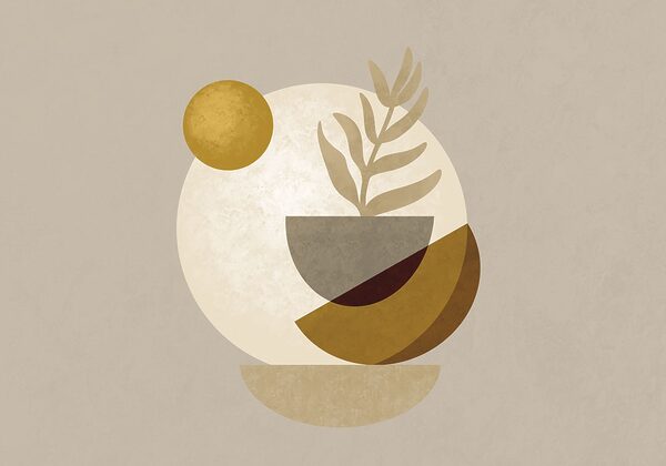 Plant in a bowl