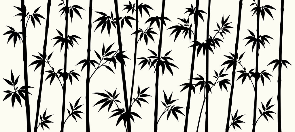 Silhouette of bamboo trees Silhouette of bamboo trees