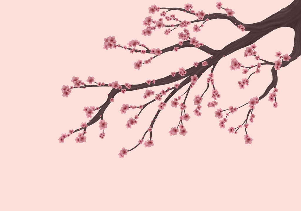 Tree branch with pink flowers