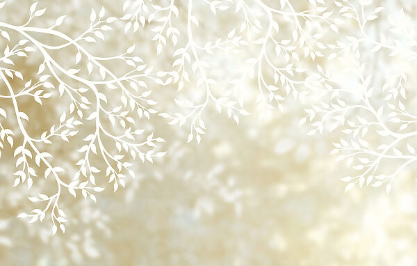 White branches with leaves White branches with leaves
