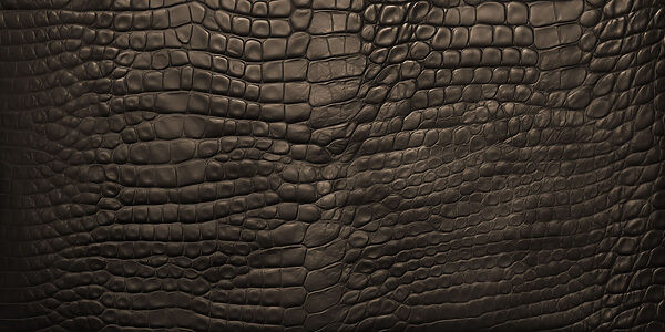 - Elegant dark textured surface