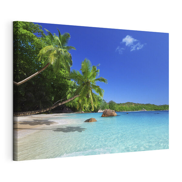 Ein Strand mit Palmen und blauem Wasser Wandbilder Ein Strand mit Palmen und blauem Wasser