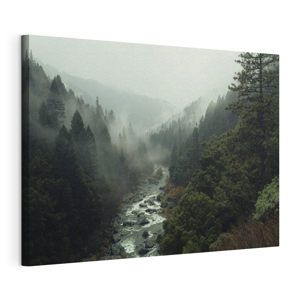 A river running through a forest A river running through a forest