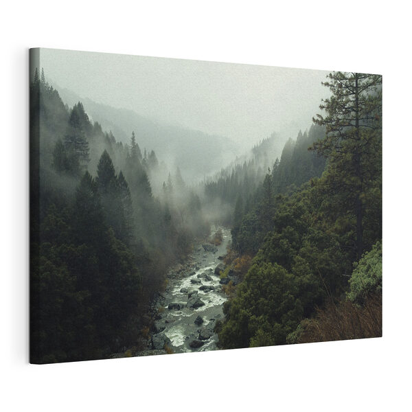 Ein Fluss, der durch einen Wald fließt Wandbilder Ein Fluss, der durch einen Wald fließt